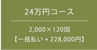 24万円コース 2,000×120回 一括払い　228,000円