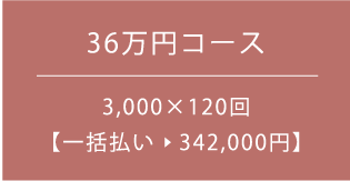 36万円コース 3,000×120回 一括払い　342,000円